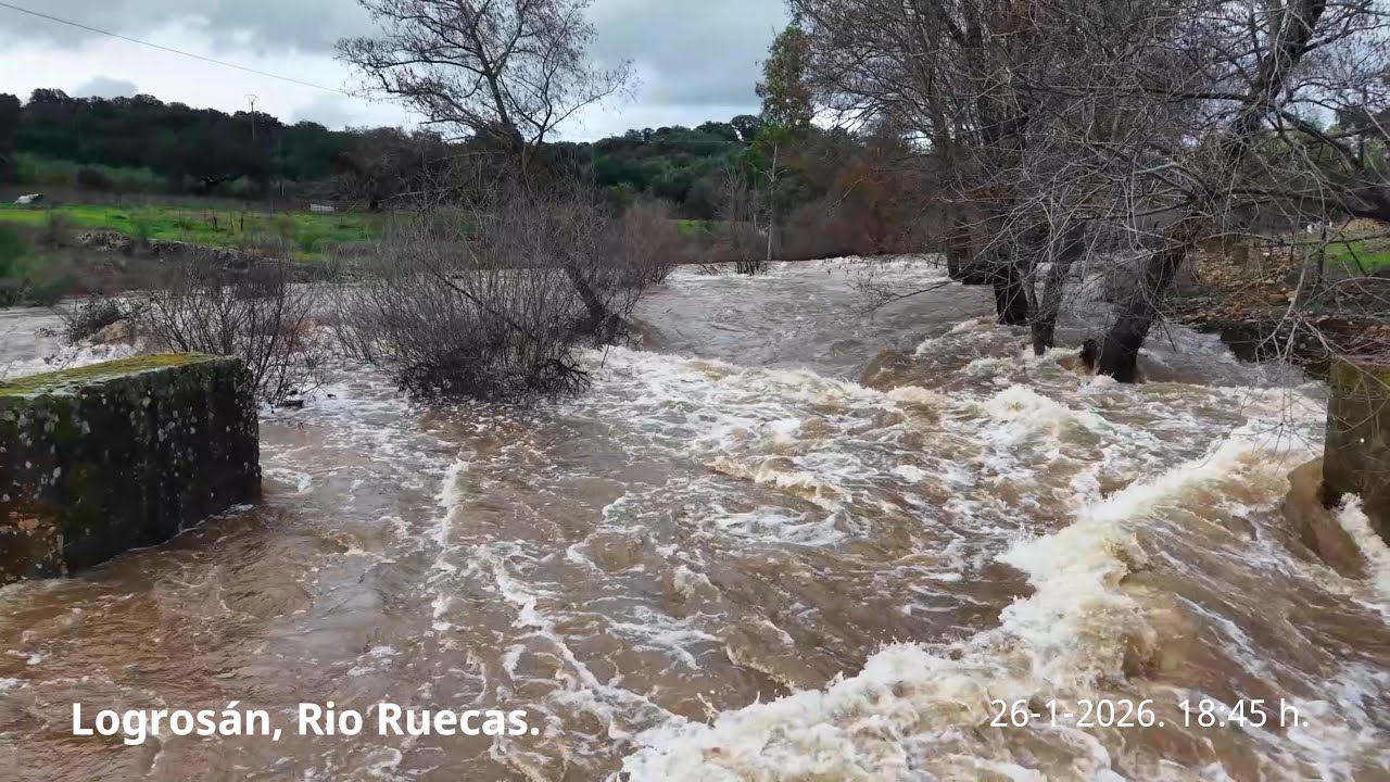 Río Ruecas 29/1/2026 (versión corta)