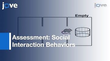 Assessment Of Social Interaction Behaviors l Protocol Preview