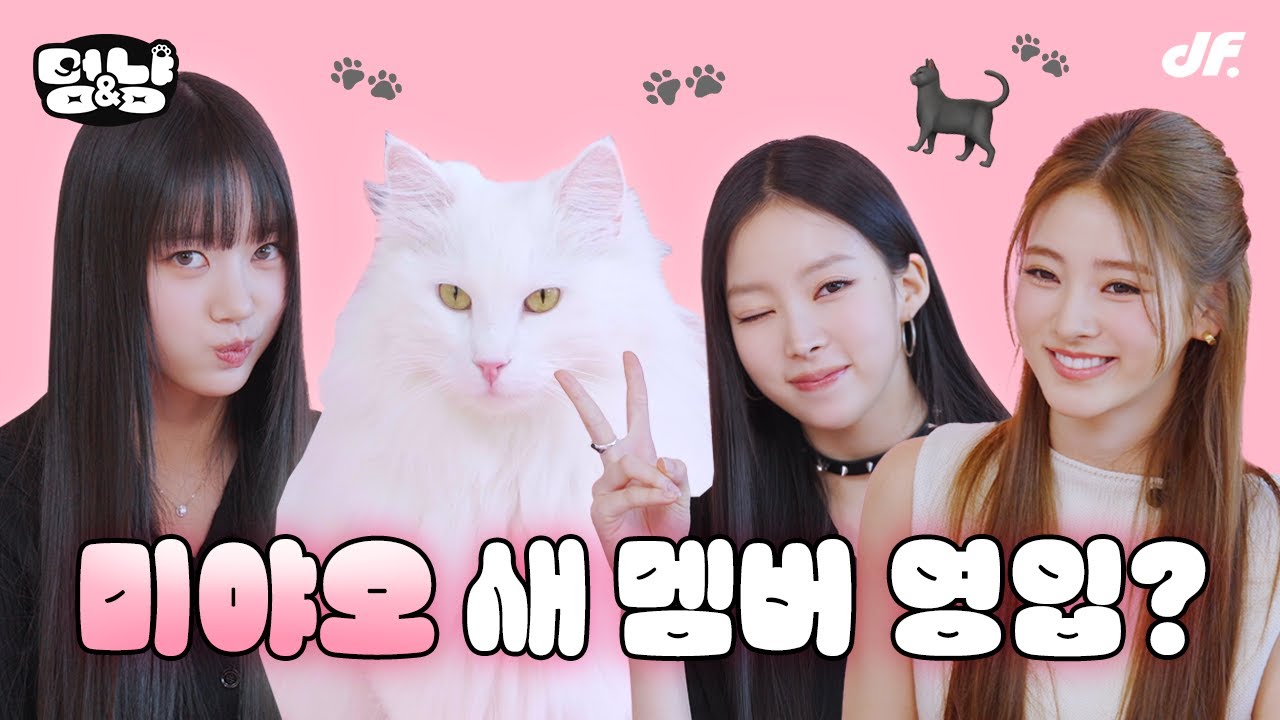 [ENG] 미야오 새 멤버 공개합니다...🐈  | [멍&냥] 미야오(MEOVV) 수인, 안나, 나린