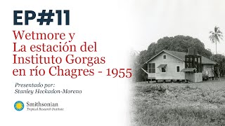 11 Alexander Wetmore en Panamá: 1955 - Instituto Gorgas