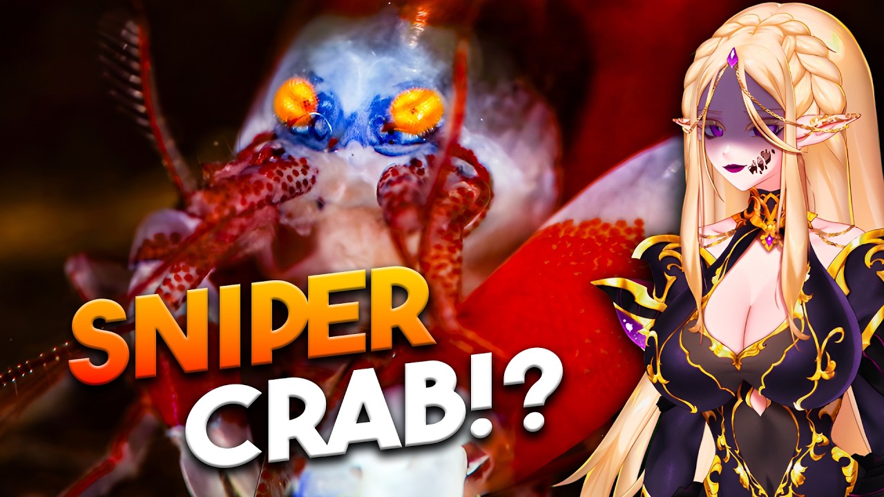 WTF Australia?! | Vtuber Reacts to MoreParz