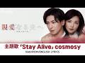 ドラマ 『親愛なる夫へ〜完璧な妻の嘘〜』 主題歌 「Stay Alive」 cosmosy コスモシー 코스모시 【Kan/Rom/English Lyrics 歌詞】 Dear Husband