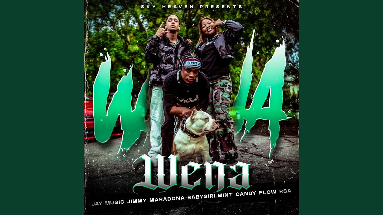 Wena (feat. Babygirlmint, Candy Flow RSA) 【みぃ♡様専用】wena