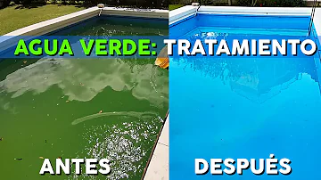 ¿Cuánto tarda el choque en limpiar una piscina verde?