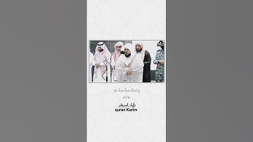 #القران_الكريم @qurankarim146 #سورة الفجر #اللهم_صلي_وسلم_على_سيدنا_محمد #انشرها