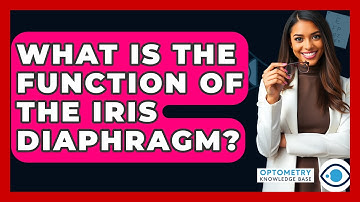 What Is The Function Of The Iris Diaphragm? - Optometry Knowledge Base