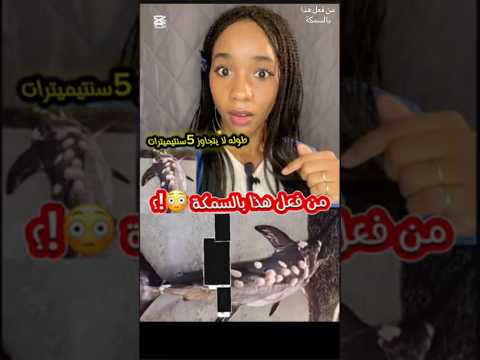 الفاعل طوله لا يتجاوز خمس سنتيميترات حقائق غريبة معلومات وحقائق معلومات