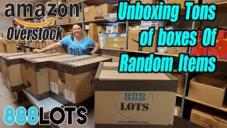 Unboxing these 4 Huge boxes from 888 Lots Amazon overstock  What did we get?!