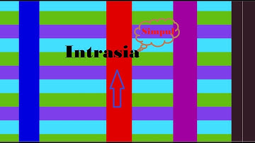 Intrasia page&Pakge System Create by hqpds simpul Program Trading Part