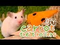 🥕 Carrot Treat Rollers | HAMSTER DIY 🥕