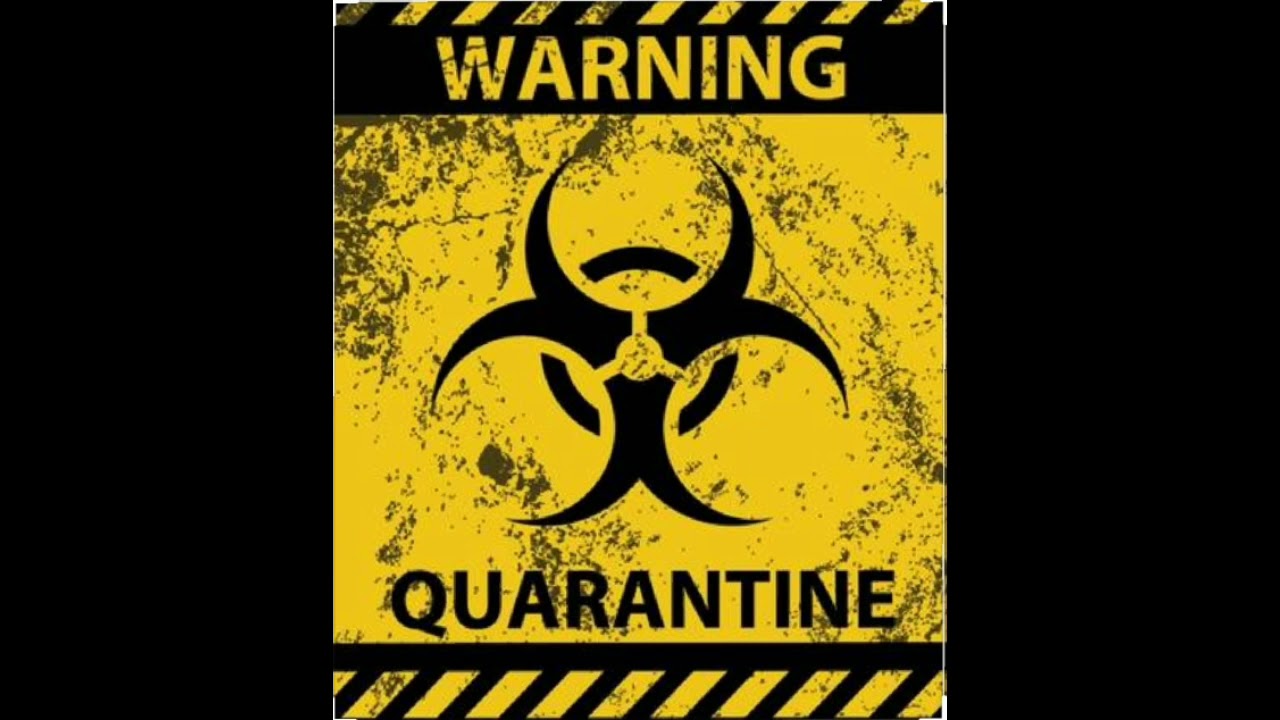 Quarantine (New Music) (2020)