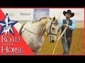 Road to the Horse 2017 - Extra Footage - Dan James Clinic