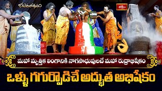 Maha Rudrabhishekam: మానవ జన్మ తరించి శివుని సంపూర్ణ అనుగ్రహం కలిగించే మహా ఘట్టం | Bhakthi TV