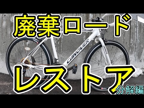 値下げしました 値下げcanover ニンフ CANOVER CAC-025 NYMPH（ニンフ）