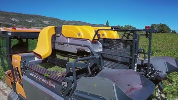 The Future of Grape Harvesting with Pellenc Harvesters