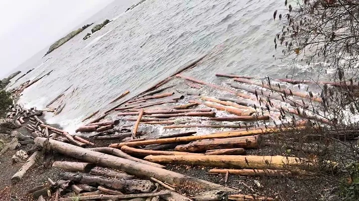 Some of my view on my walk today what’s your view of lol