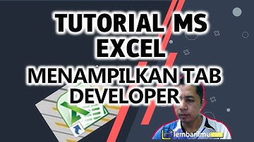 Tutorial ms excel bagi pemula menampilkan tab developer