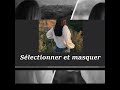 Flouter l'arrière plan : Technique pour flouter l'arrière plan d'une photo