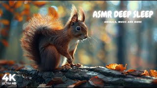 Wilderness Retreat: Finding Peace in Nature's Embrace by ASMR Deep Sleep 603 views 2 weeks ago 11 hours, 54 minutes