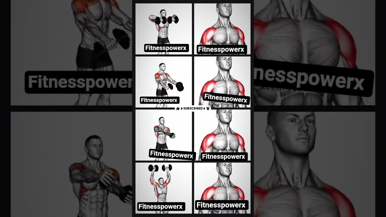 Top 5 Exercises For Big Shoulders Grow Your Delts Fast 