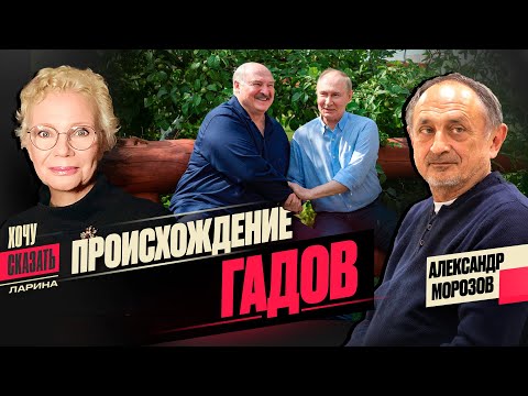 YouTube видео