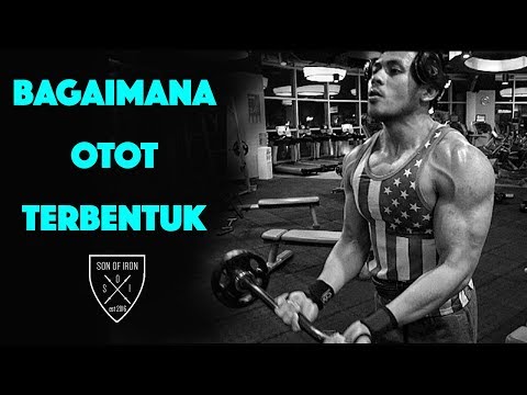 Video: Bagaimanakah spora terbentuk?