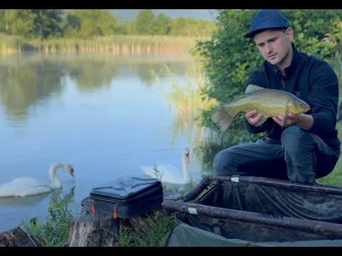 Зерно чи Бойли, ативна рибалка по амуру, шалений кльов в Доброгостьові