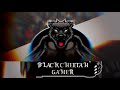 Black cheetah gamer intro