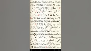 ماهر المعيقلي سورة المائدة مكتوبة صفحة 109 مصحف المدينة المنورة جودة عالية