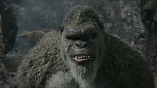 Godzilla x Kong the new Empire: kong vs wart dogs HD