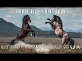 Horse Rich & Dirt Poor