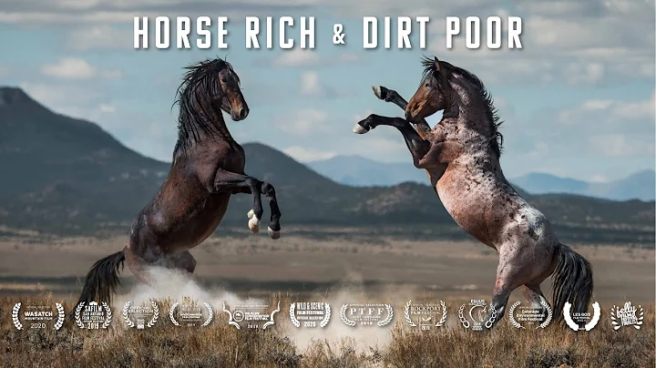 Horse Rich & Dirt Poor