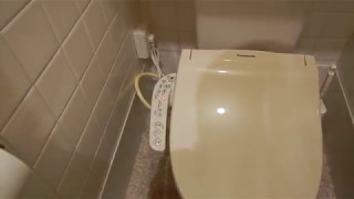 How to flush a Japanese toilet