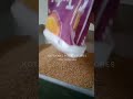 Omco 16 Flour Mill High Efficiency Stone Mill For Quality Grinding Omco 16 Flour Mill High Efficiency Stone Mill For Quality Grinding