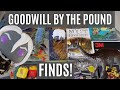 Goodwill by the pound finds  dd dungeon tiles 80s toys and more