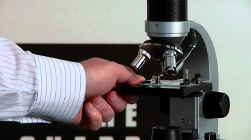 LCD Digital Microscope