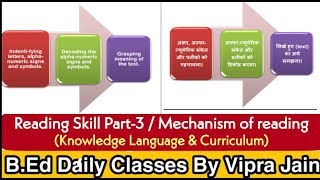 Reading Skill Part-3 / mechanism of reading / knowledge Language & Curriculum
