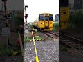【なのはな号】【波之平踏切】を通過します。 #shorts #JR #train
