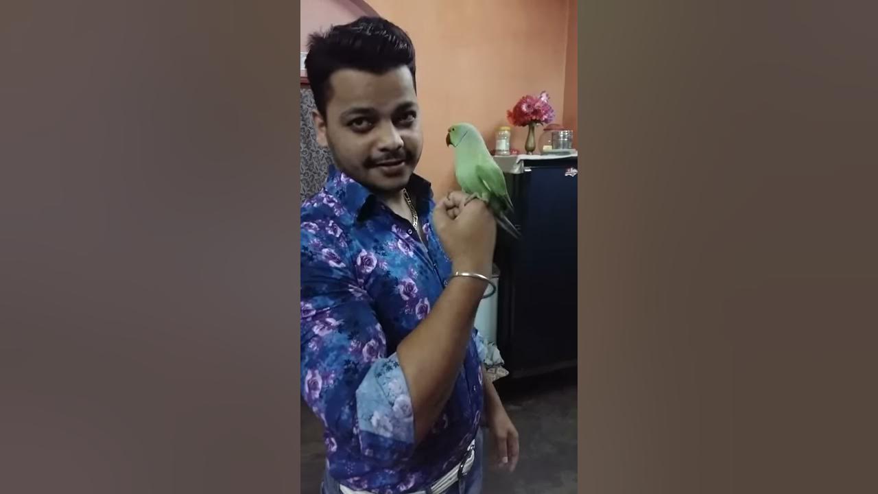 Mittu - YouTube