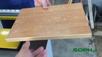 MFB60CYF---heavy duty edgebander  BIESSE style