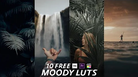 10 Free Moody Free Luts | VN LUTS | Premiere Pro | FCPX |Colour Grading In Mobile (VN Editor)