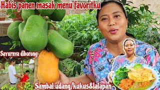 MASAK SAMBAL UDANG & OYONG ,TELOR DADAR‼️Habis panen langsung masak menu favorit langsung ludes