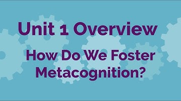 SMARTS CONNECT Executive Function Curriculum - Unit 1.3 Overview