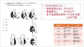 脊髄損傷 二分脊椎 装具から動作や髄節についての覚え方 暗記方法 理学療法士国家試験 作業療法士国家試験 解剖 Pt Ot 理学療法士 作業療法士 国試 国家試験 Youtube