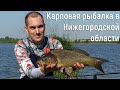 Карповая рыбалка в Нижегородской области, с.Криуша