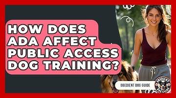 How Does ADA Affect Public Access Dog Training? - Obedient Dog Guide