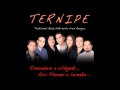 Ternipe - Na gindyin muri gazsi ("Avri Phenav e lumake" album)
