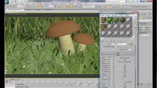 Tutorial: Creating A Mushroom Macro Render - Part 3