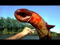 9 Most Bizarre Recent Catches!