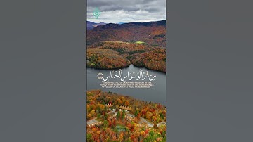 سورة الناس بصوت خاشع للقارئ سعد الغامدي | تلاوة تلامس القلوب 🌿